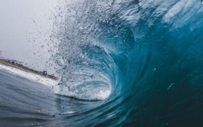Harnessing Renewable Resources Through Wave Energy