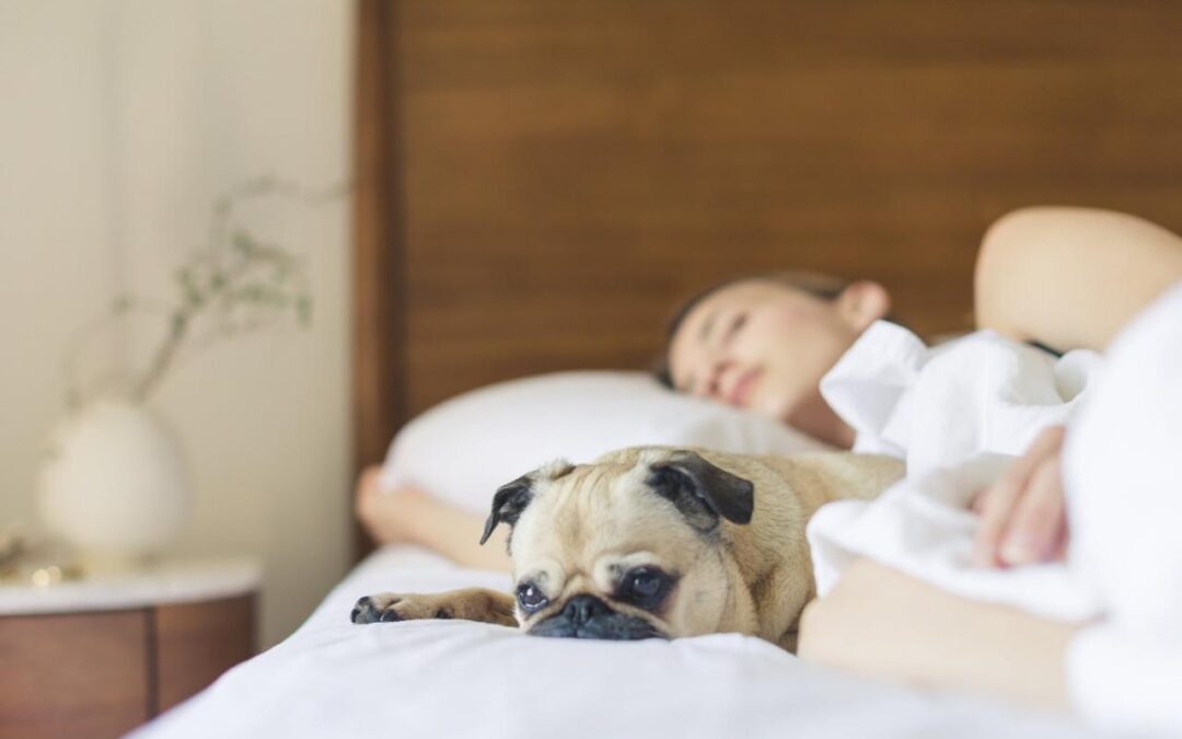 Sleep During The Golden Hour For A Good Night’s Rest